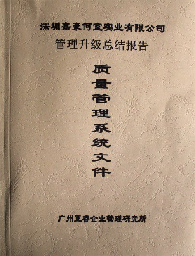 深圳市嘉豪何室實業(yè)有限公司管理升級總結(jié)報告