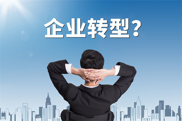 企業(yè)轉(zhuǎn)型無(wú)方向，數(shù)智化咨詢(xún)公司能否指引明路？