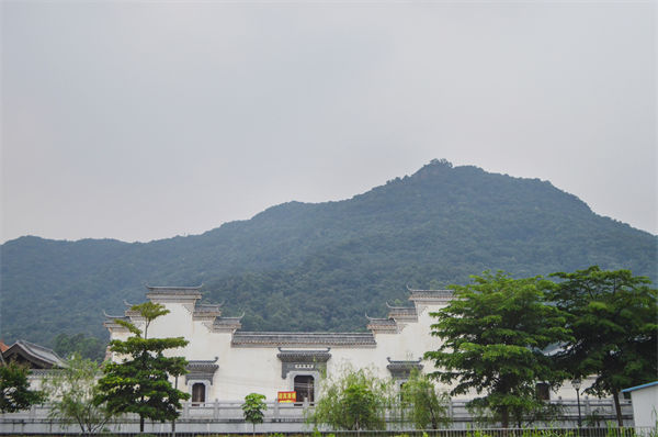 子公司各自為戰(zhàn)內(nèi)耗大，佛山集團管控咨詢公司有何整合之道？